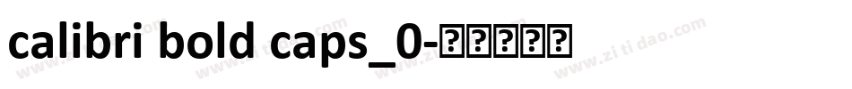 calibri bold caps_0字体转换